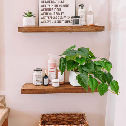 - Hollyone Artificial Plant | Fake Jade Pothos | Decorative Faux Potted Plant -