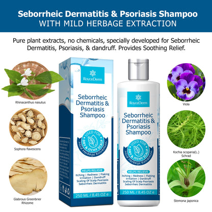 - Roycederm Seborrheic Dermatitis Shampoo | Psoriasis Shampoo | Dandruff Shampoo | Folliculitis Shampoo & Scalp psoriasis Treatment -