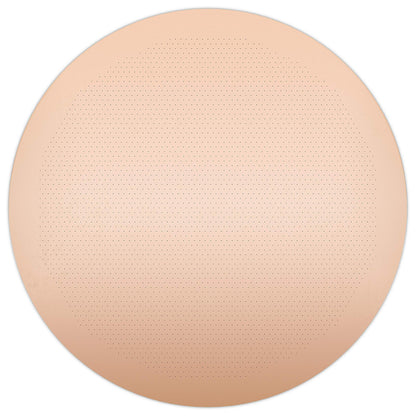 CAFE CONCETTO Filter for use in AeroPress Go/AeroPress Coffee Makers - Disc Superfine - Reusable - Premium Coated Stainless Steel (Rose Gold, Metal) - Brew Tips Included