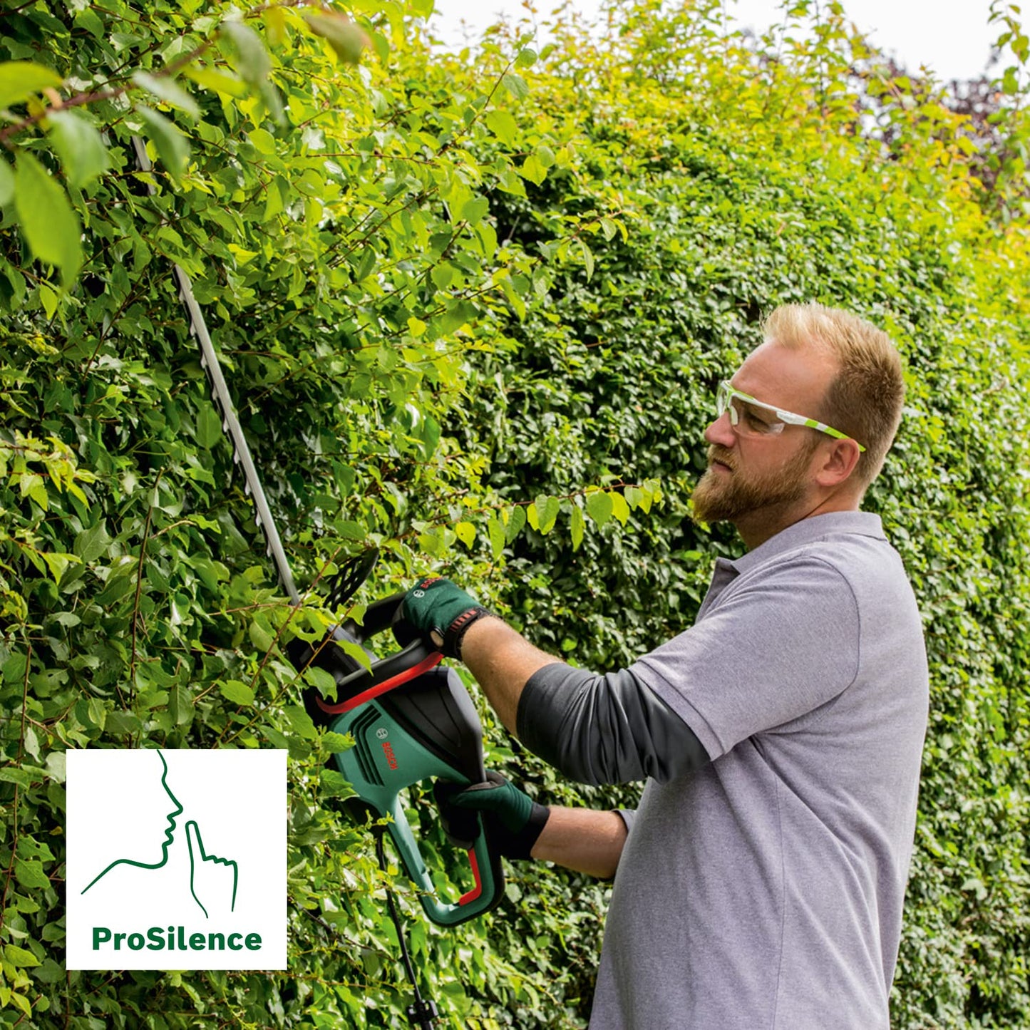 Bosch Home and Garden Hedge trimmer AdvancedHedgeCut 70 (500 W, blade length: 70 cm, for large hedges, tooth opening: 34 mm, in carton packaging)