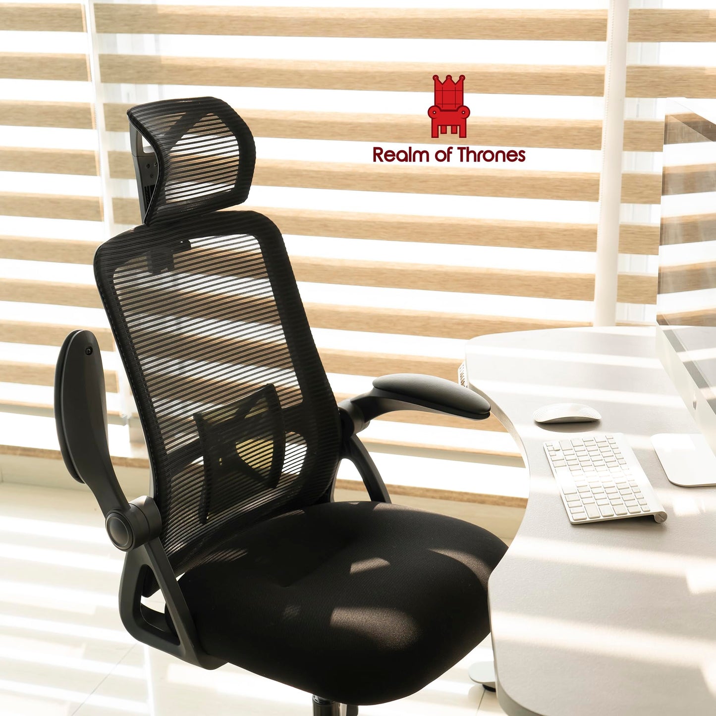 - Realm of Thrones CAPTAIN Ergonomic Office Chair | Metal Base Heavy Duty Home Office Mesh Desk Chair -