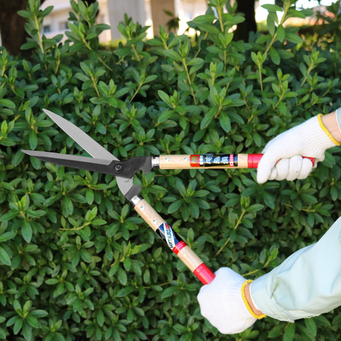 - Kimura® Samurai Garden Shears | Premium Hedge Shears With Lightweight Japanese Oak Handles -