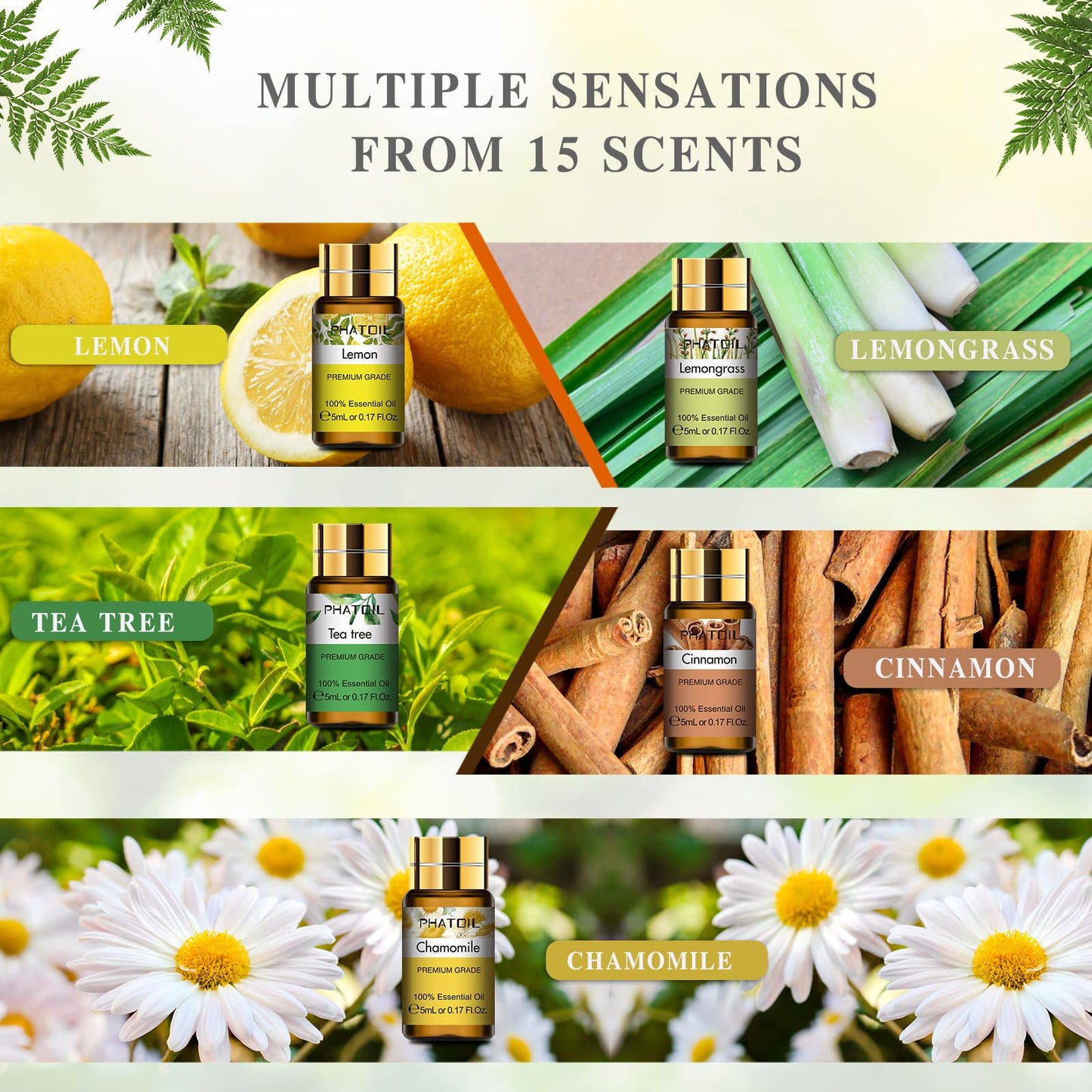 - PHATOIL Essential Oils Set (15Pcs Oils | Pure Lavender,Eucalyptus,Jasmine,Lemongrass,Sweet Orange,Sandalwood,Peppermint,Vanilla,Rose,Lemon,Ylang Ylang,Chamomile,Tea Tree,Cinnamon,Rosemary