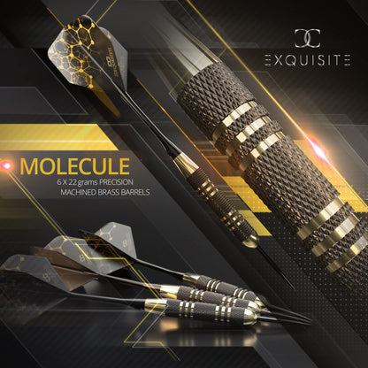 CC-Exquisite Professional Steel Tip Darts Set - 6 x 22g Brass Barrels with 12 Flights Standard/Slim, 12 Aluminum Shafts 35/48mm, 12 O-Rings, Dart Tool, Dart Sharpener and Case…