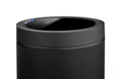 - Yamaha MusicCast 20 wireless speaker WX-021 – Alexa compatible Bluetooth Speaker.
