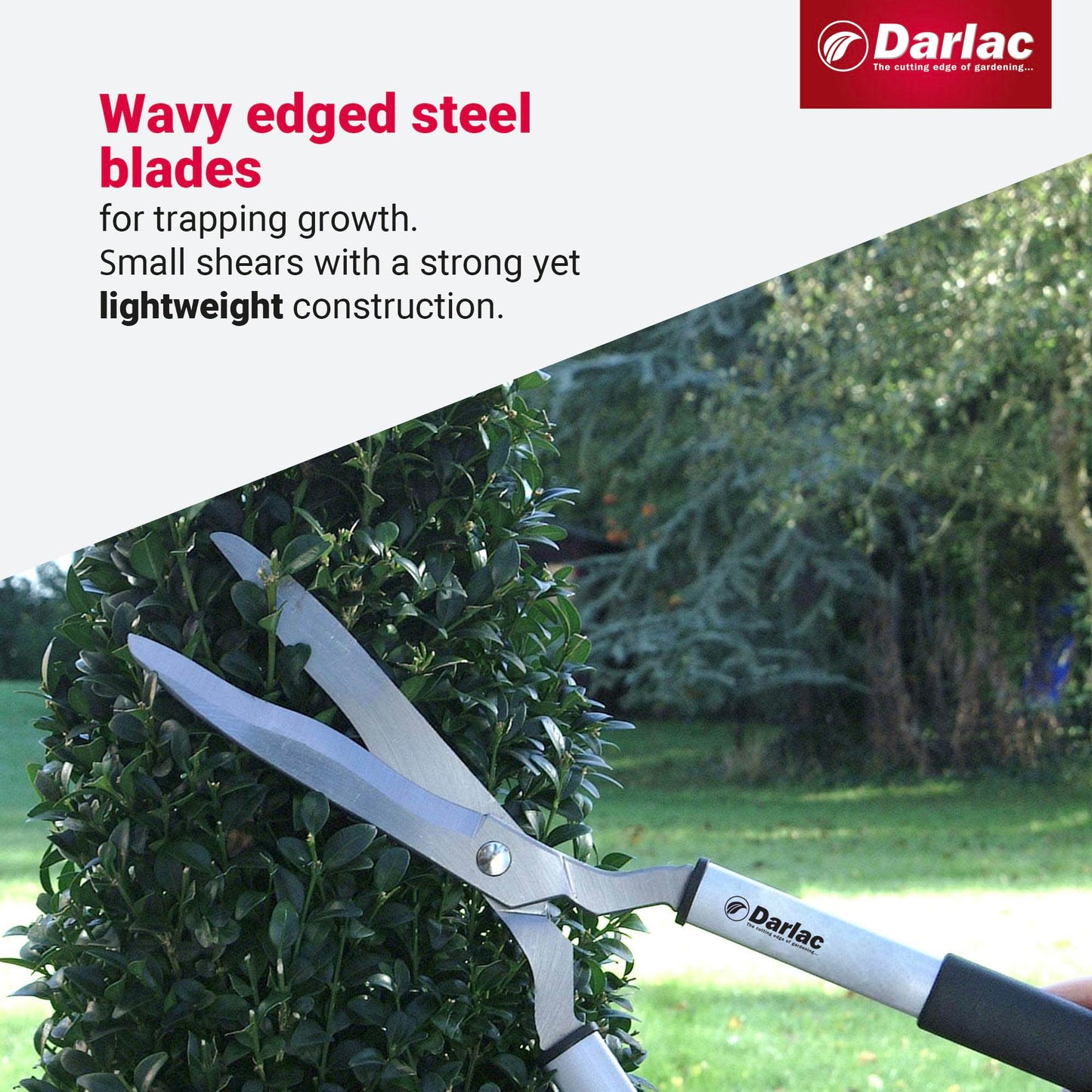 Darlac Lightweight Shear – Lightweight, Razor Sharp Garden Shears – Ideal for Precision Hedge Trimming & Topiary – Wavy Edged Carbon Steel Blades for Trapping Growth – Comfortable Grip – Easy to Use
