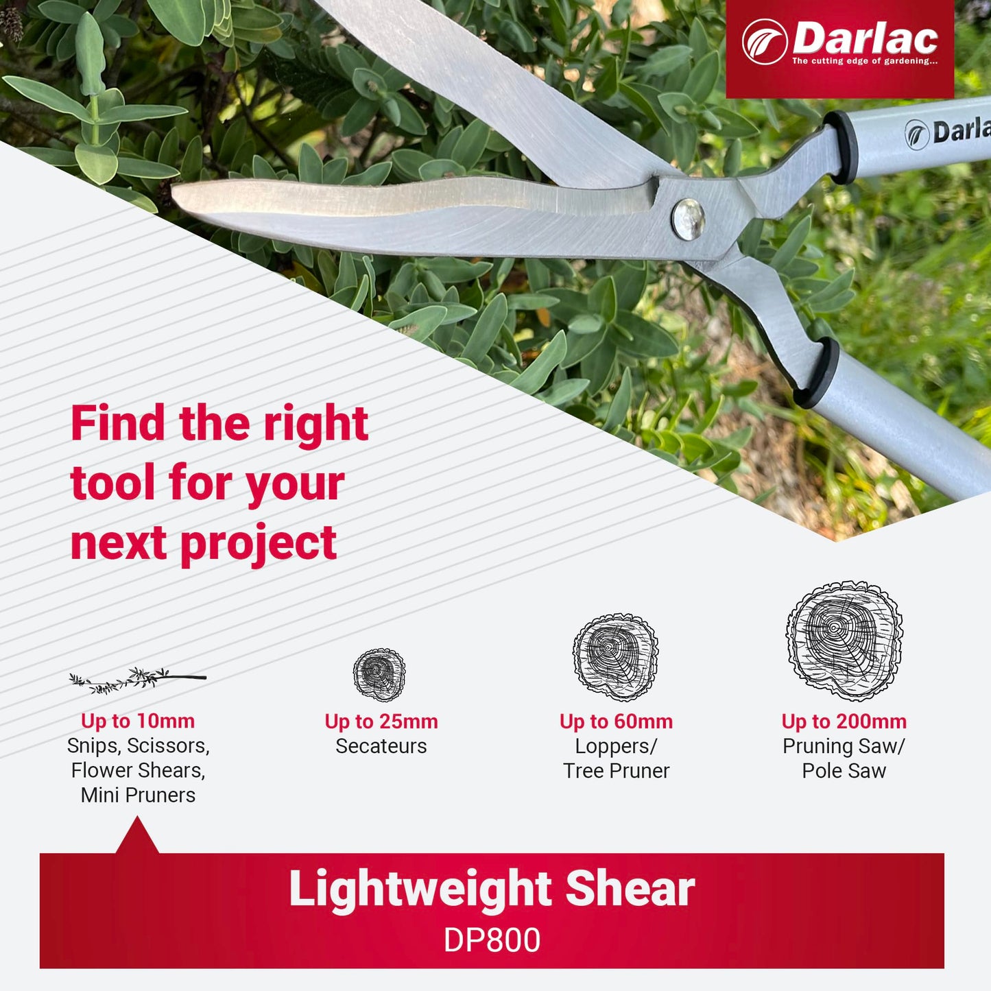Darlac Lightweight Shear – Lightweight, Razor Sharp Garden Shears – Ideal for Precision Hedge Trimming & Topiary – Wavy Edged Carbon Steel Blades for Trapping Growth – Comfortable Grip – Easy to Use