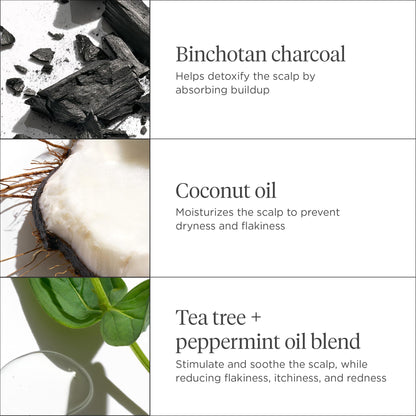 Briogeo Scalp Revival Charcoal + Coconut Oil Micro-Exfoliating Shampoo | Scalp Scrub Treatment to Soothe a Dry, Flaky, Itchy Scalp | Vegan, Phalate & Paraben-Free | 236ml