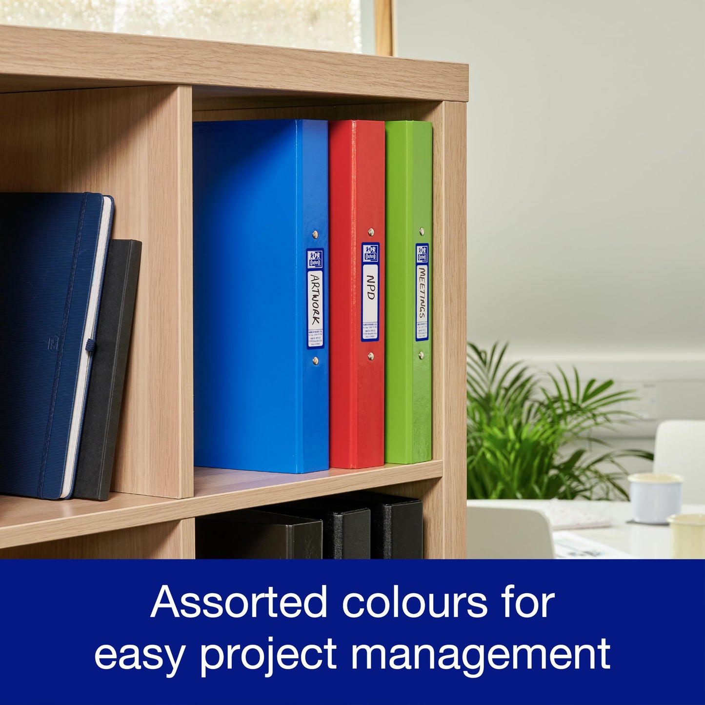 - Oxford A4 Ring Binders | Red/Green/Blue | Pack of 3 Folders 40mm -