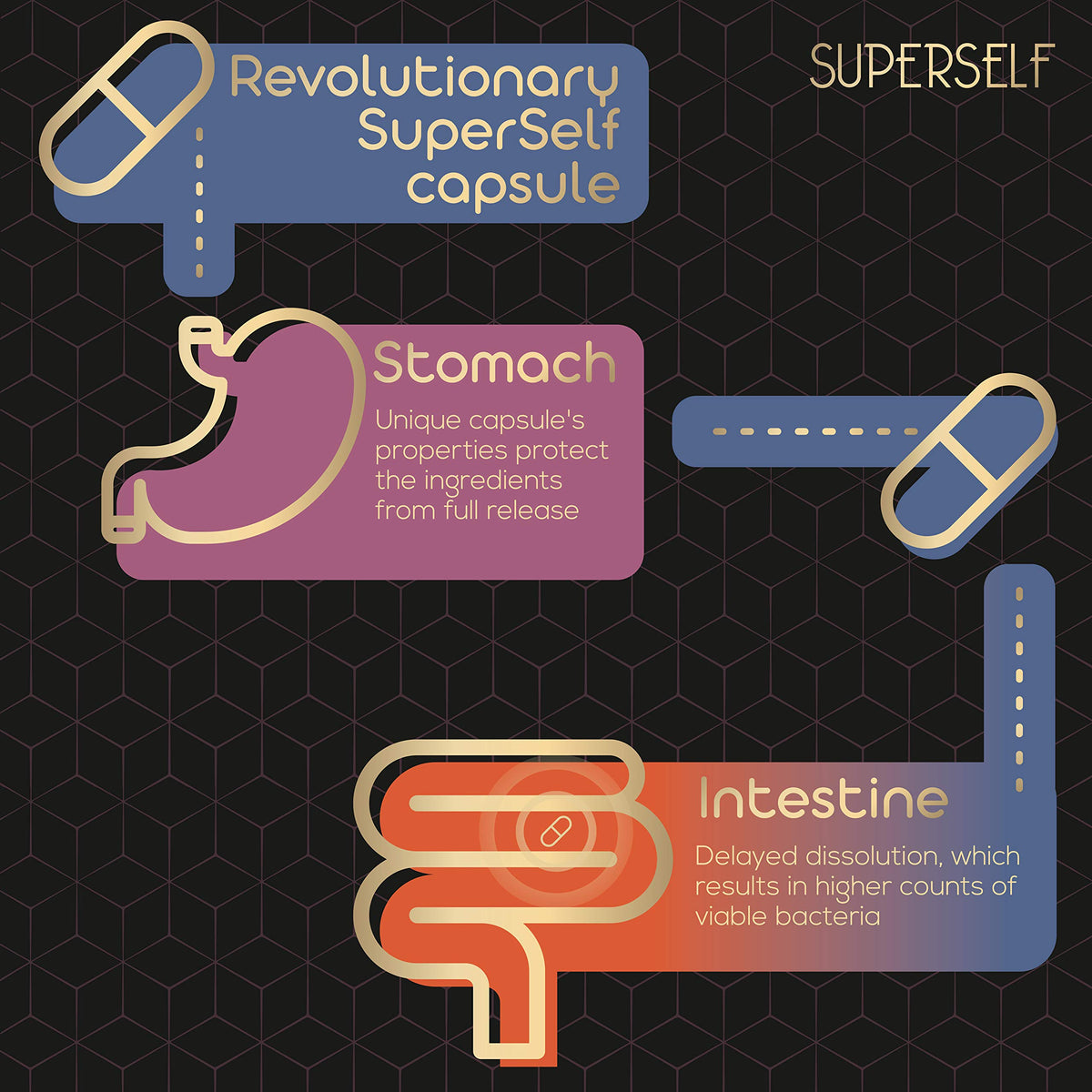 - Probiotics Bio Cultures Complex | Gut Health Probiotic Supplements for Men -