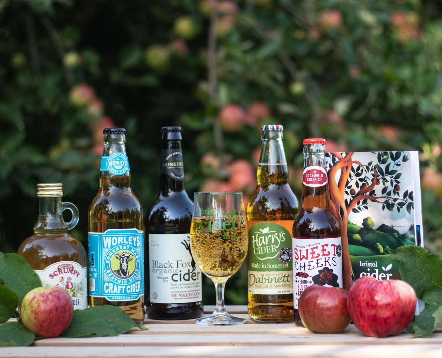 Cider Tasting Gift Set including glass, 5 ciders and tasting notes