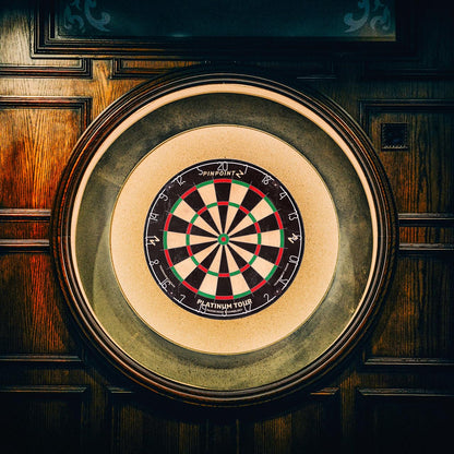 - PINPOINT World Series Professional Dartboard | Bristle Dart Board -