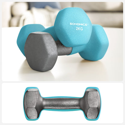 - SONGMICS Hex Dumbbells Set with Stand | 2 x 1 kg, 2 x 2 kg, 2 x 3 kg, | Hand Weights for Home Exercise, Pink, Aqua, and Blue SYL612MK -