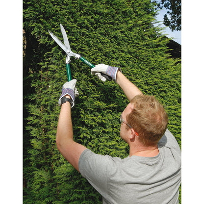 - Draper Garden Tools Set | 3 Piece | Lopper, Shears and Secateur | Gardening Hand Tools Set -