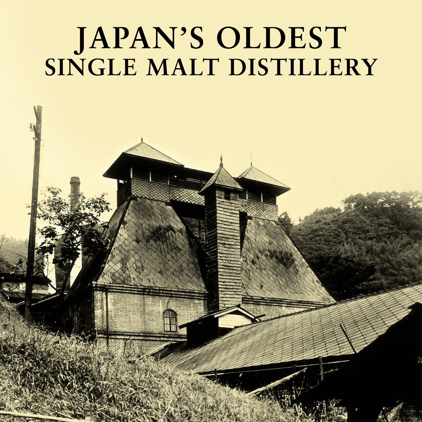 - Yamazaki Whisky 12 Year Old Single Malt Japanese Whisky, 70cl