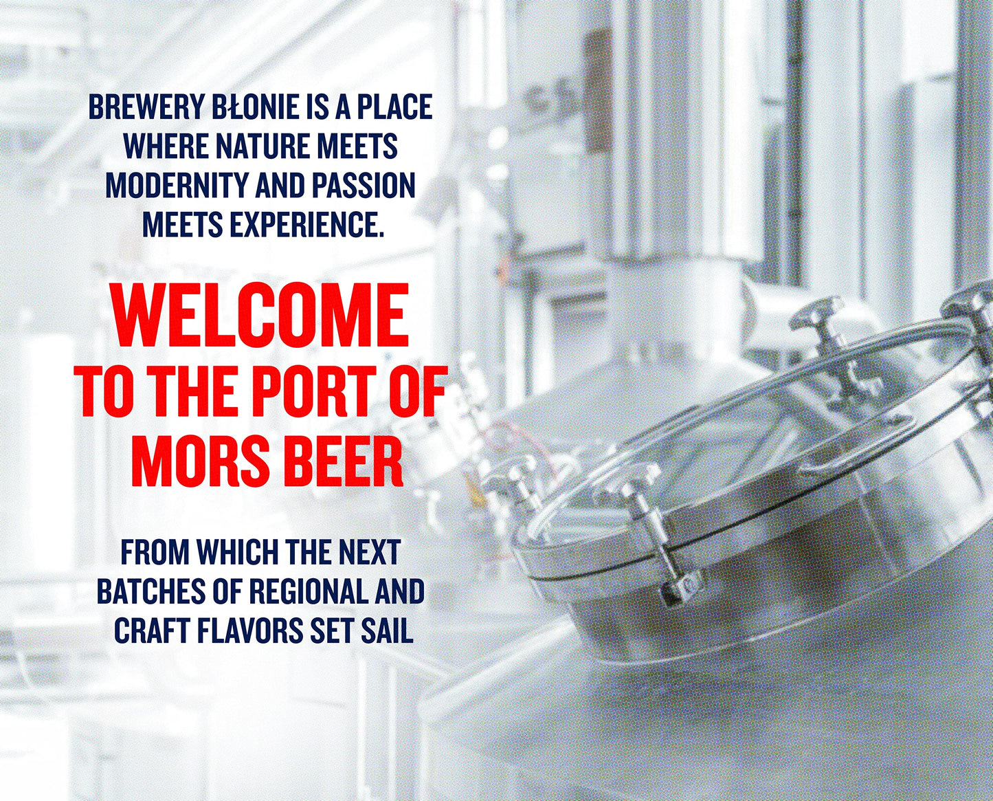 - Mors Light and Easy Lager | Authentic Polish Craft Beer | 5.0% ABV | 6 x 500ml -